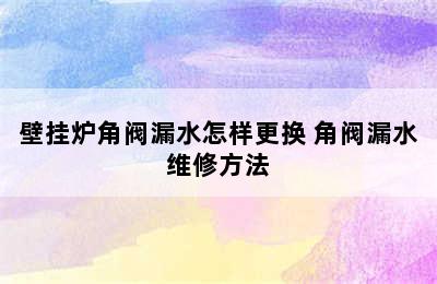 壁挂炉角阀漏水怎样更换 角阀漏水维修方法